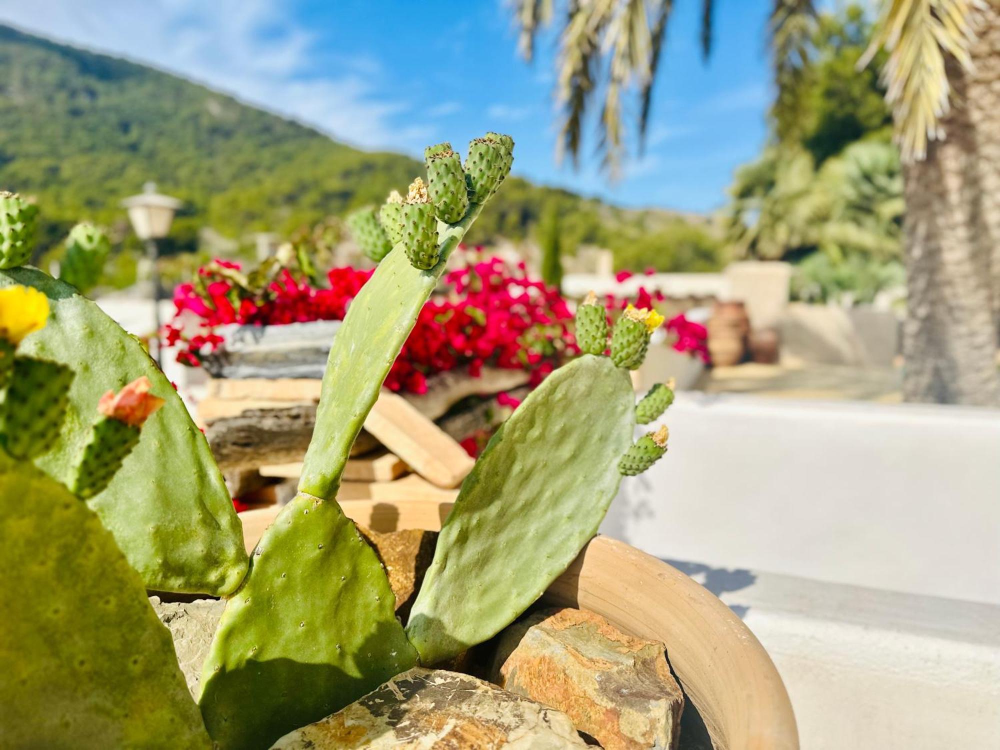 Finca Ocha - Calblanque Los Belones Exterior photo